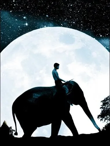 Dans  Sunny et l'lphant , un jeune garon veut devenir un matre, guide et soigneur d'lphant, qu'on appelle en Asie :