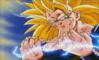 En quelle forme est transforme Sangoku ?