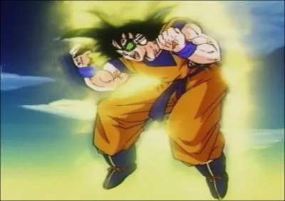 Qui contrle le corps de Sangoku ?