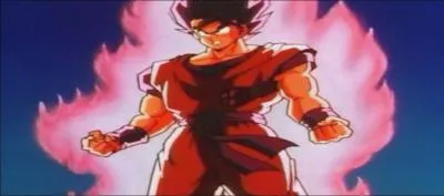 Quelle attaque Sangoku est-il en train de pratiquer ?