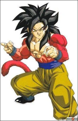 Dans quelle saga Sangoku peut-il se tranformer en cette forme ?