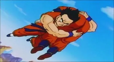 Qui Yamcha porte-t-il ?