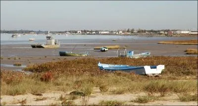 Laquelle de ces villes ne se trouve pas sur le golfe du Lion ?