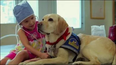 En 2011, ce pays regroupe la plus grande quantit d'animaux de compagnie en Europe !