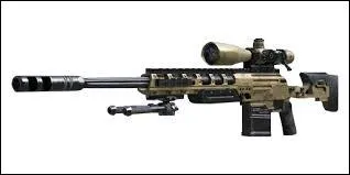 Laquelle de ces armes est un fusil de prcision ?