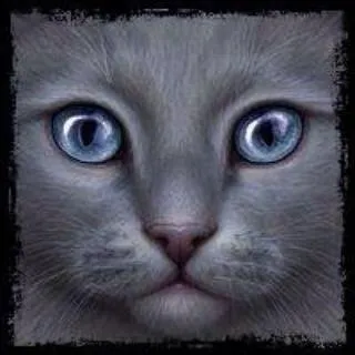 Comment est-elle morte ?