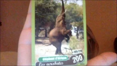 L'lphant peut-il sauter ?