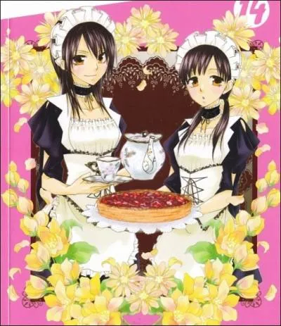 Quel lien a-t-elle avec Misaki ?