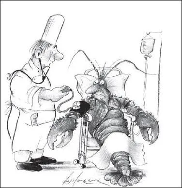 Cuire   gros bouillons  est recommand pour certains plats. Cela signifie... ?