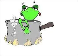 Toujours en cuisine, qu'est-ce alors que le  court-bouillon  ?