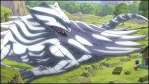 Quelle dragon l'a leve ?