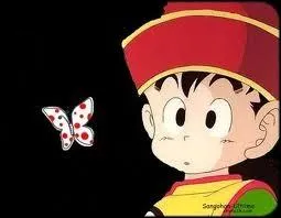 Combien d'toiles a la boule de cristal que Sangohan porte sur son bonnet ?