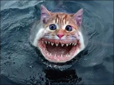 Moi, marin d'eau douce ? Non, je suis un poisson d'eau douce, une :