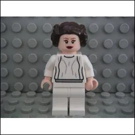 Quel est ce personnage ?