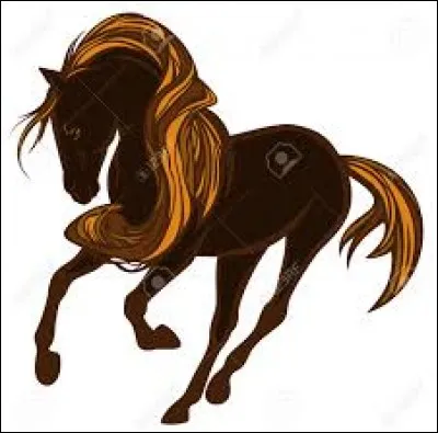 Ce n'est pas au vieux cheval qu'on apprend à ...