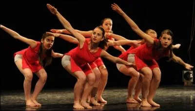 Transforme cette phrase au plus-que-parfait de l'indicatif : Ce groupe de danse a connu un certain succs.