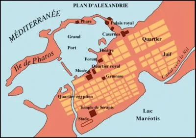 Alexandrie s'organise selon un plan en :