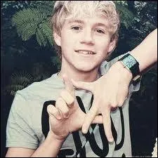 Quelles sont les marques prfres de chaussures de Niall ?