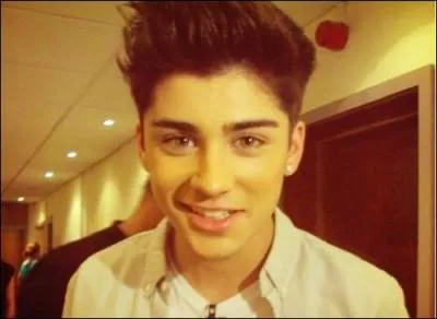 Zayn a un faible pour les filles :