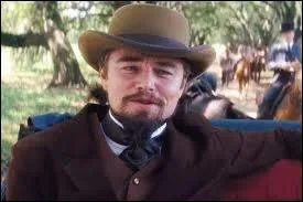 Sur le chemin pour aller chez Calvin Candie, ils croisent un esclave qui s'est chapp, que lui arrive-t-il ?