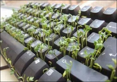 Le  papa du web , c'est lui. Le  world wide web , c'est encore de lui. Remercions chaleureusement :