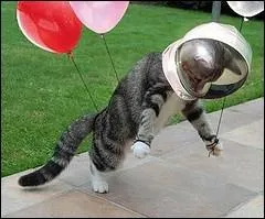 Lui aussi est respectable. Vous pouvez aisment le comparer  Einstein. Paralys, muet, il reste un grand gnie de l'histoire grce  ses tudes sur les trous noirs. Il s'agit du touchant :