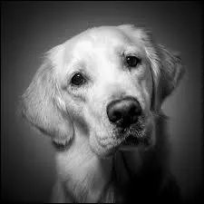 Vous devez connatre...