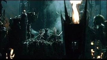 Que montre cette image ?