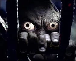 Dans  Bilbo, le hobbit; le voyage inattendu , qui lui vole l'anneau ?