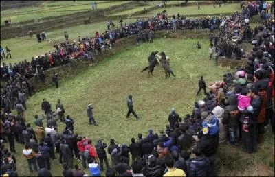 Ca parat impossible  notre poque, pourtant l'un de ces trois pays organise de sanglants combats de chevaux !