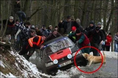 Dcouvrez le proverbe correspondant  la photo !