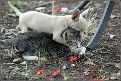 Vous prenez toujours les choses du bon ct, vous avez ...