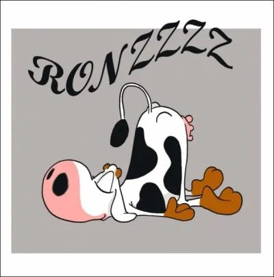 Roupiller, en craser sont des expressions qui s'appliquent  ceux qui sont endormis profondment. Cependant, l'expression ci-dessous est plus lgante.