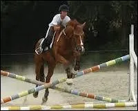 On enchane avec un de saut de/d' :