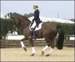 Voici une figure de dressage :