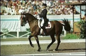 Ce cheval est  une allure trs lente :