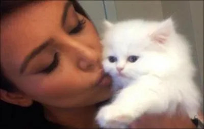 Quel animal de compagnie a Zendaya ?