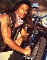 Compltez cette fameuse phrase que l'on entendait en dbut de gnrique :   Il tait flic et il faisait du bon travail. Mais il avait commis le crime le plus grave...   :