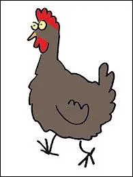 A votre avis, combien de temps faut-il  une poule pour laborer et pondre un uf ?