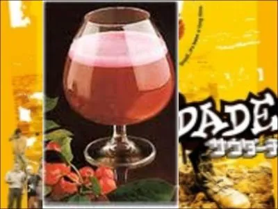  Mlancolie  en portugais ou documentaire japonais, sorti en 2012, ne tombez pas dedans. En associant bire, vin rouge et sirop de cerise, vous aurez ce cocktail nomm :