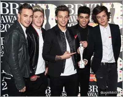 Dans quelle mission les One Direction se sont-ils rencontrs pour la premire fois ?