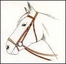 Cette muserole est une muserole :