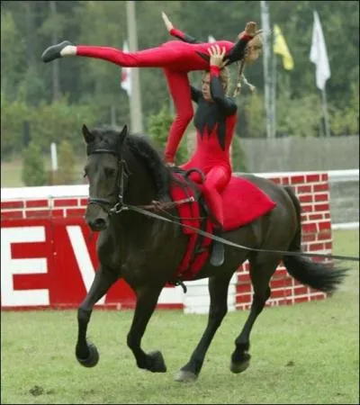 Quelle est la discipline pratique sur cette photo ?