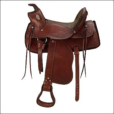 Cette selle est de type :