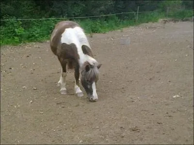 Quelle est cette robe ?