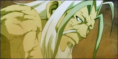 Quel membre de Fairy Tail Rob a-t-il rencontré ?