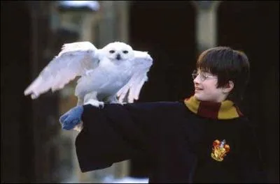 � l'ext�rieur, Harry va faire voler Hedwige. Comment la fait-il patienter ?