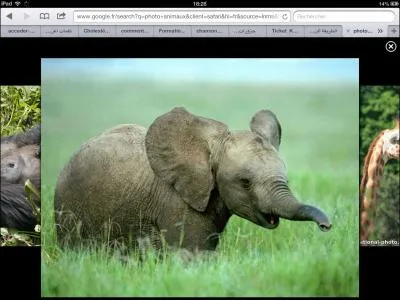 Quel est le film de Disney dont le personnage principal correspond  cet animal ?