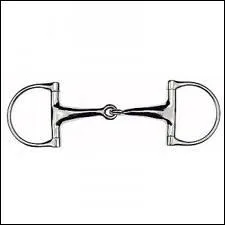 Comment se nomme ce mors ?