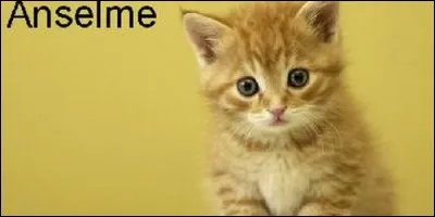 Que signifie Anselme, prénom d'origine germanique ?